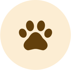 Tiere